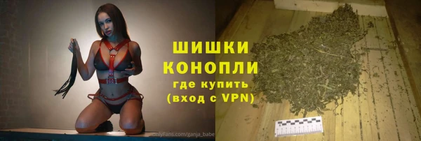 сатива Аркадак
