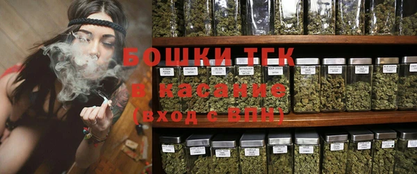 сатива Аркадак