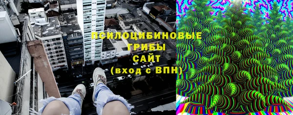 сатива Аркадак