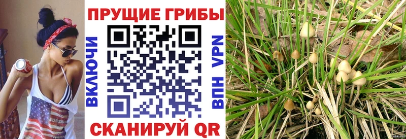 Галлюциногенные грибы мицелий Балей